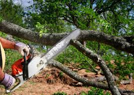 Best Emergency Tree Removal  in Garberville, CA